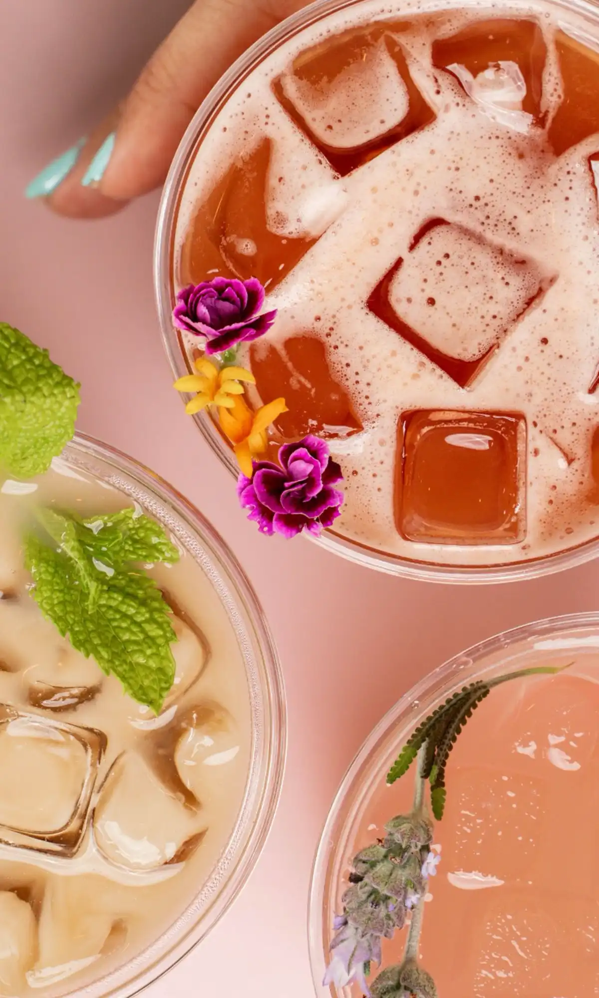 Lullabar Fruit Teas Vertical